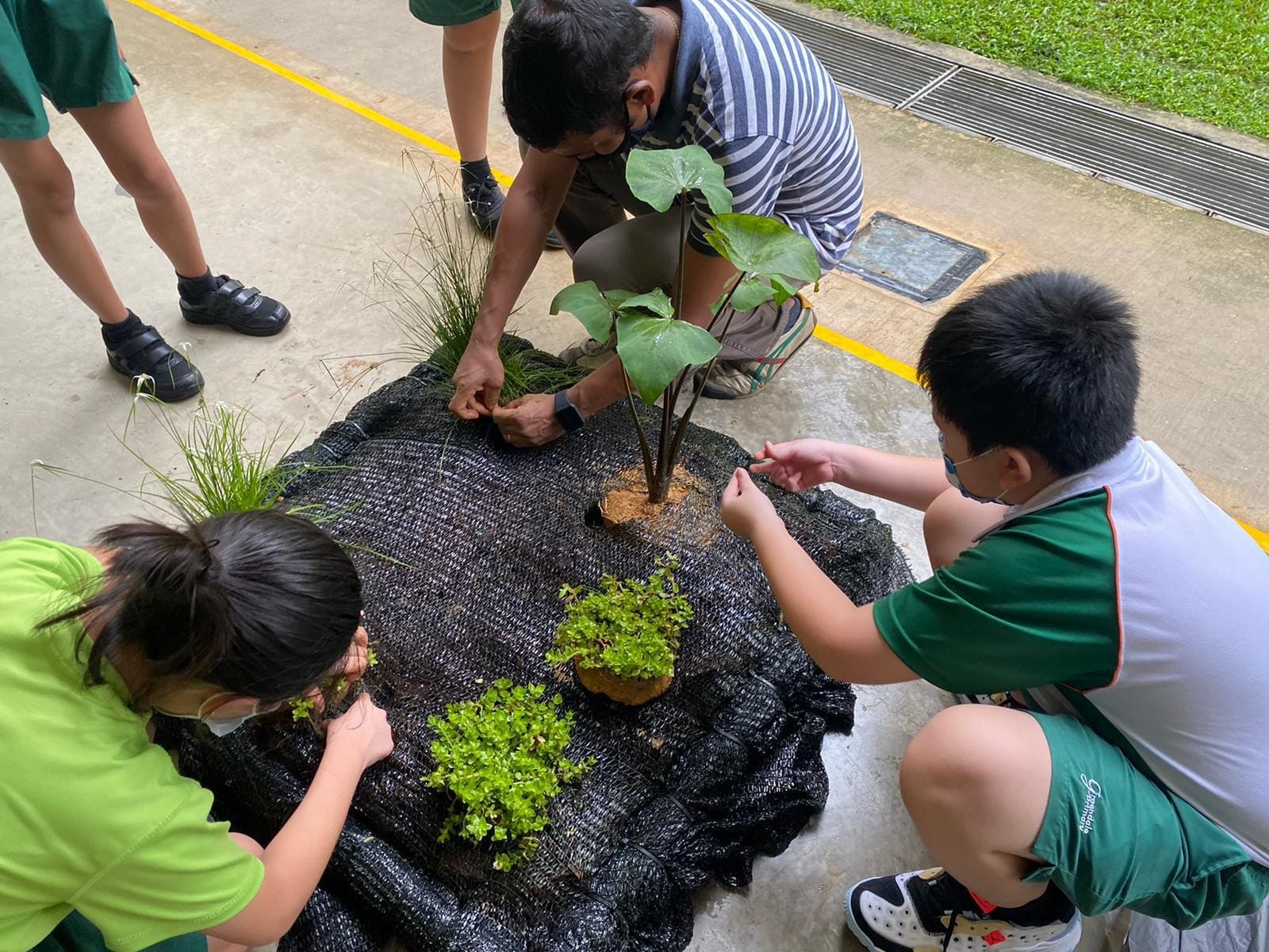 Greening for biodiversity